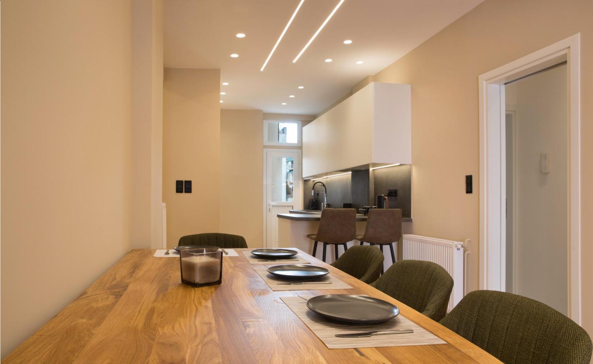 Urban Spacious Apartment Near Kallimarmaron Athens Ngoại thất bức ảnh