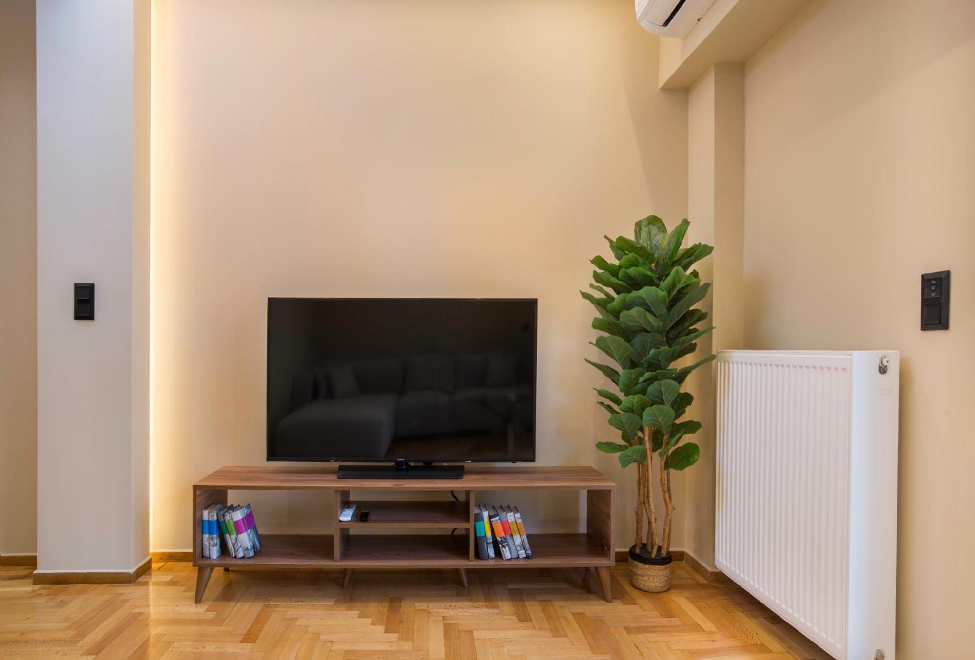 Urban Spacious Apartment Near Kallimarmaron Athens Ngoại thất bức ảnh
